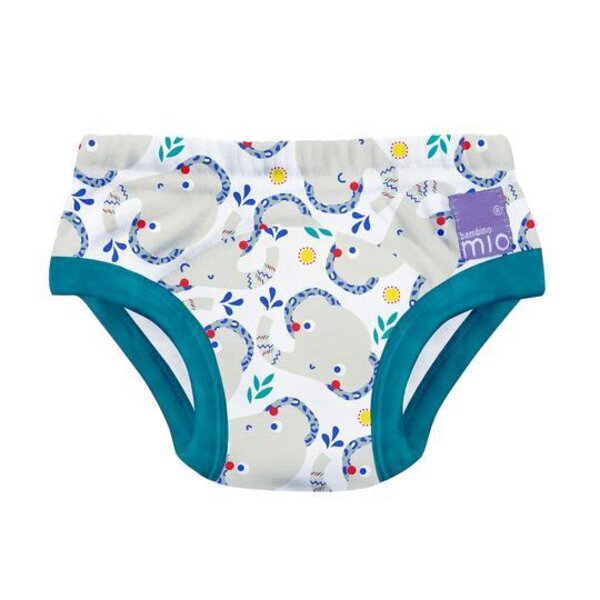 Buy SuperBottoms Padded Underwear - Potty Training Pants For Babies/  Toddlers/ Kids, 100% Cotton, Semi Waterproof, Pull Up Underwear Trainers  For Girls & Boys, Size 2, Explorer Online at Best Price of Rs 749 -  bigbasket